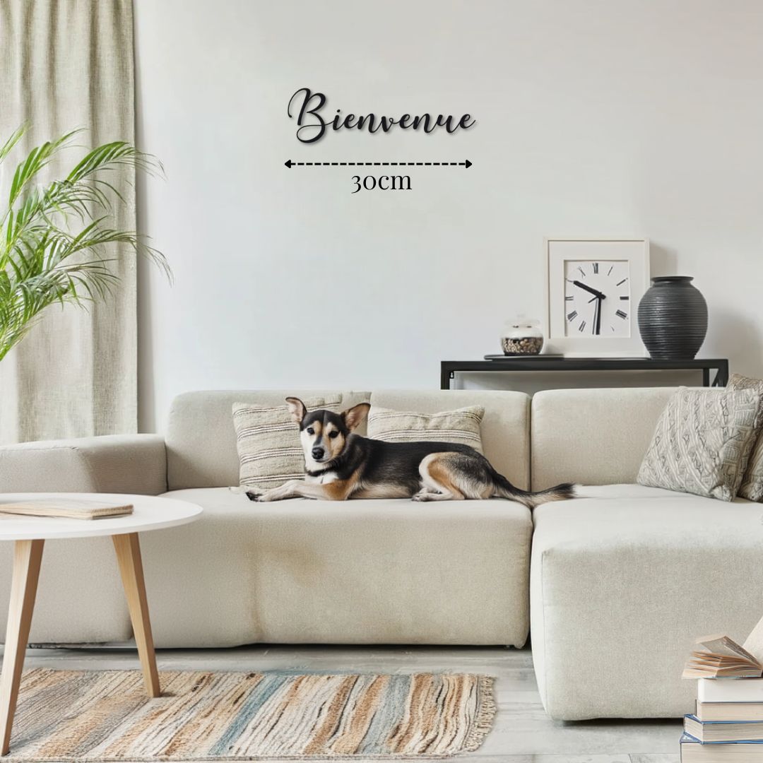 Petite Décoration Murale Métal pour Extérieur PrecisionMetal